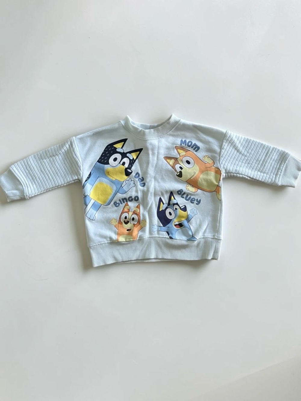 Kids Light Blue 'Bluey & Bingo' Graphic Sweatshirt Size 2T NWOT
